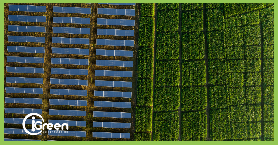 Agrivoltaico per l'industria: Greenergy realizza l'impianto da 3,62 MW che integra agricoltura e produzione